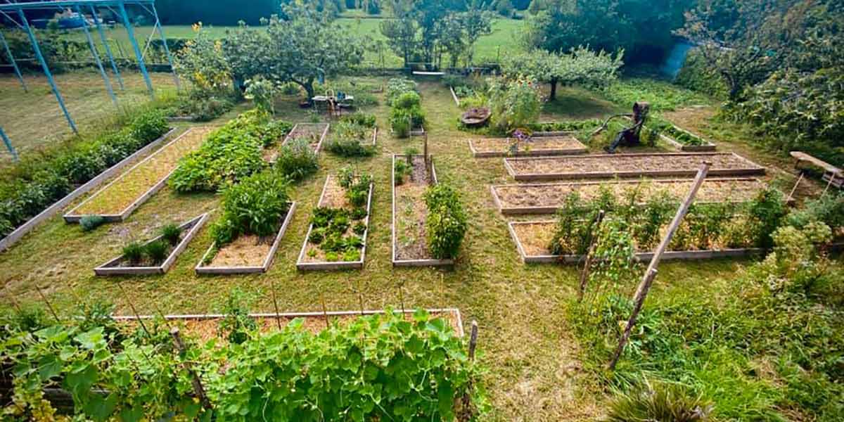 Anche l'ortofrutta sbarca al Festival del Cinema di Venezia